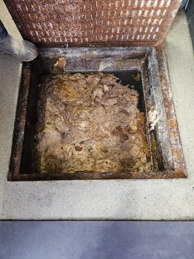 Croûte de graisse dans un bac à graisse saturé